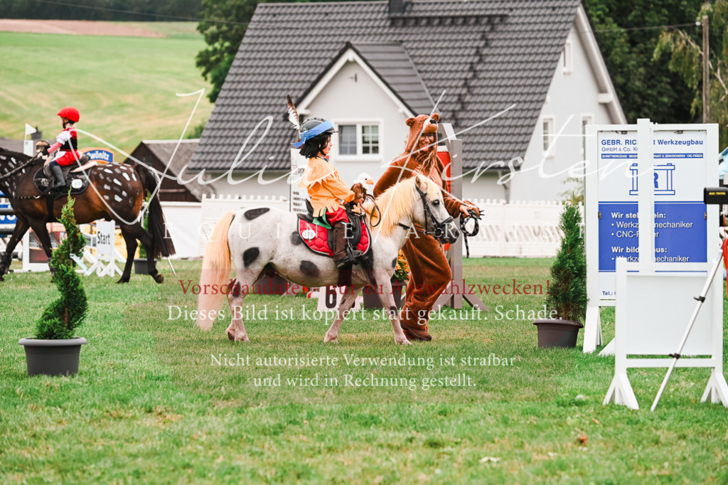 DSC_7374 | Pferde- und Turnierfotografie in Westsachsen. Pferdeportraits, Auftragszeichnungen und intuitive Kunst.