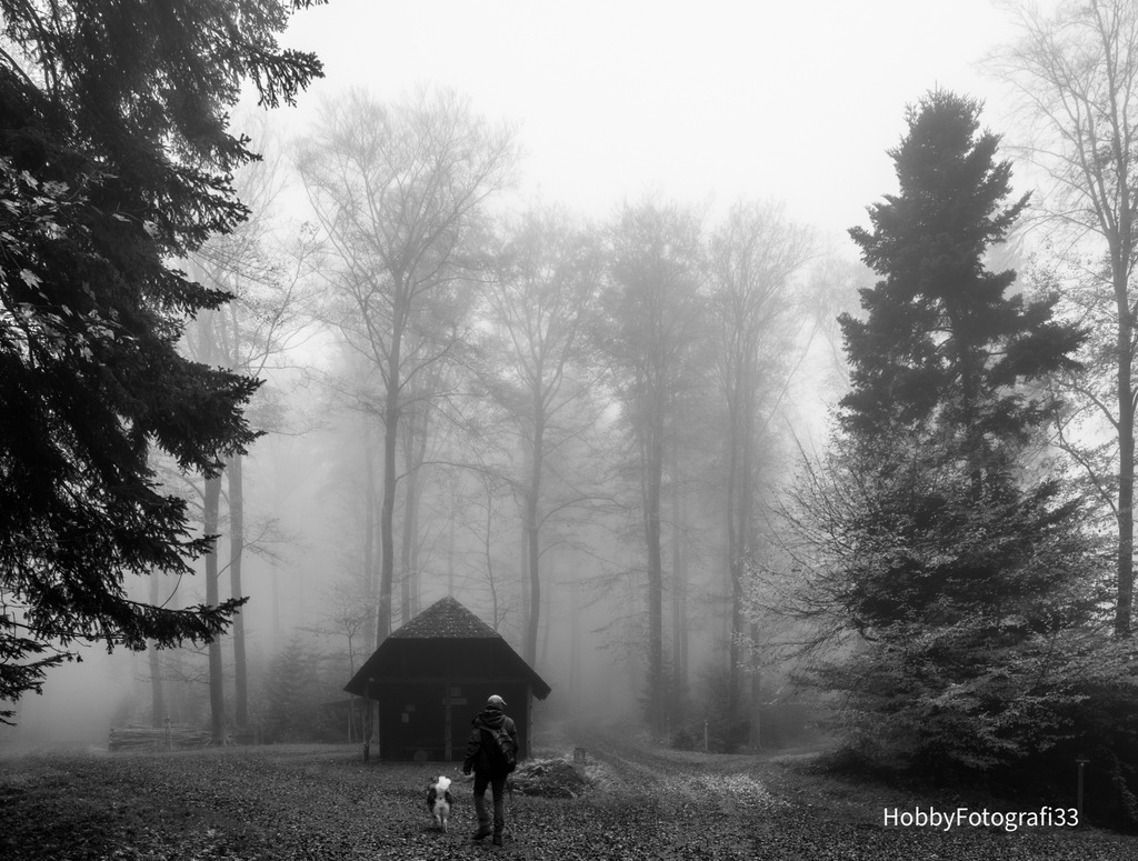 DSC04818 | fotografie33