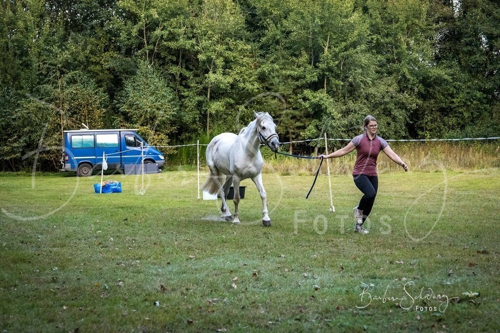 DdLH-NU_2025-09-20_60 | Fotografie, Veranstaltungs-Fotografie, Pferde-Fotografie, Landschafts-Fotografie, Reise-Fotografie - Realisiert mit Pictrs.com