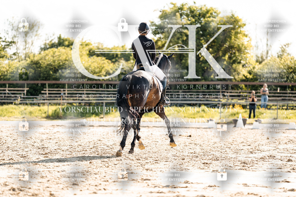 CK909974 | Turnierfotografie Pferdefotografie Trier Rheinland-Pfalz Pferdesport Reitsport Tierfotografie Sportfotografie Pferdevideo Pferdevideografie Equestrianvideography equestrianphotography  - Realisiert mit Pictrs.com