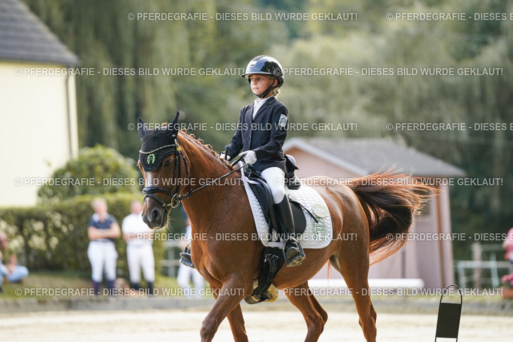 DSC05338 | Pferdegrafie