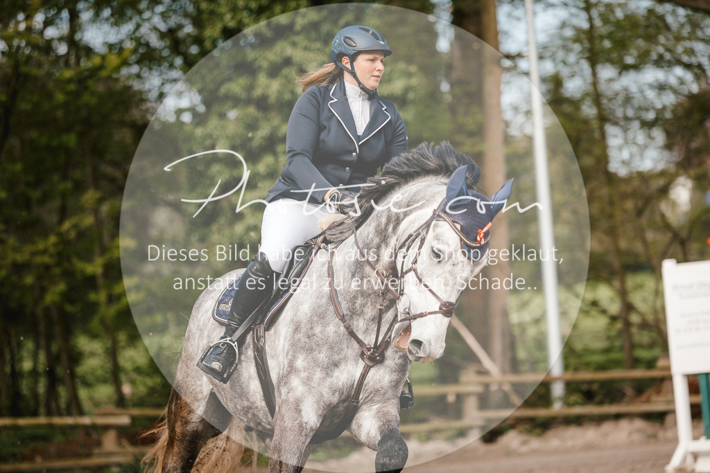 3I6A3429 | Stimmungsvolle Portraits und Reitsportfotografie im Ruhrgebiet und im Münsterland.

Pferdefotografie, Hundefotografie, Tierfotografie, Reportagen, Portraits von Tier und Mensch, Turnierfotografie in Bochum, Recklinghausen, Marl, Haltern am See, Dülmen.. - Realisiert mit Pictrs.com