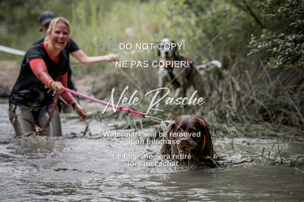 nelerasche_so0800-0930_289 | nelerasche