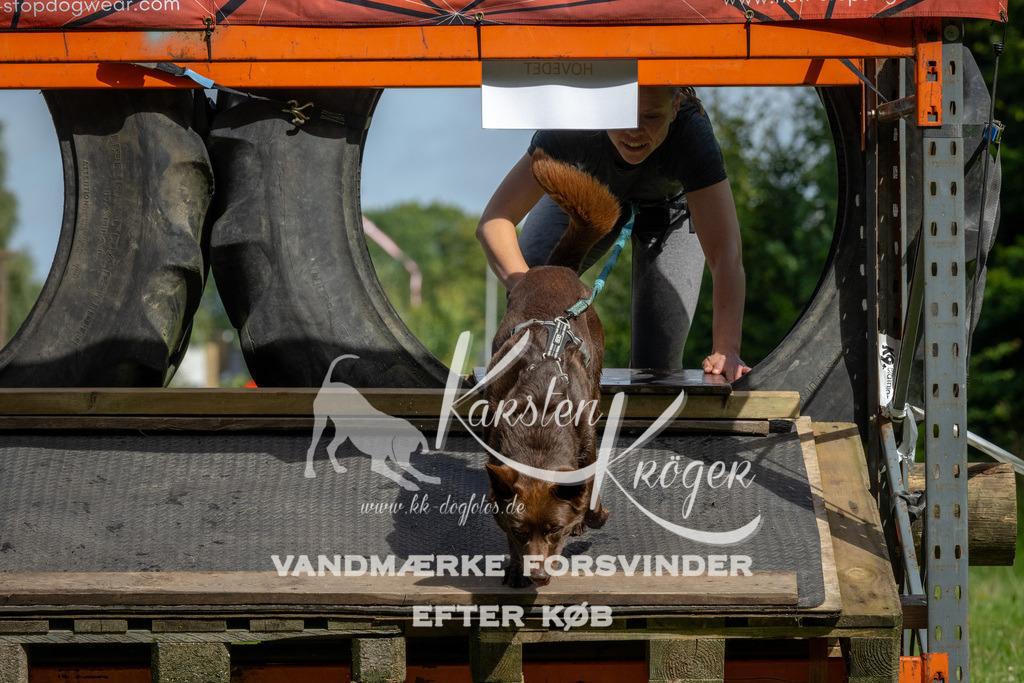 1131_ZZ92329 | kk-dogfotos