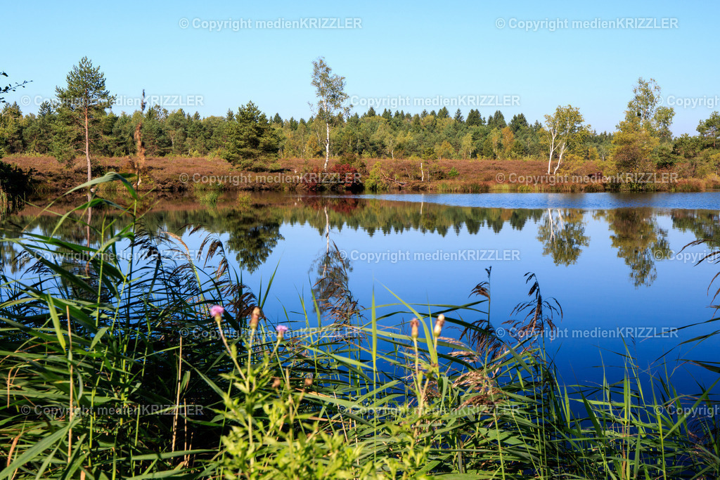 _07A5655 | medienkrizzler - Realisiert mit Pictrs.com