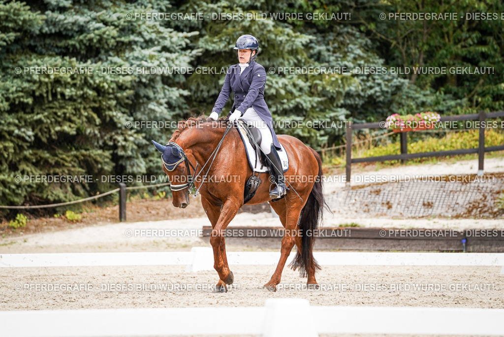 DSC05908 | Pferdegrafie