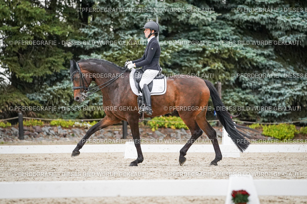 DSC09651 | Pferdegrafie