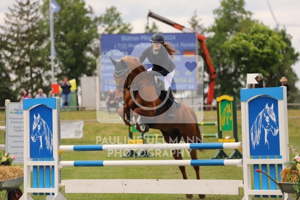 IMG_7240 | Pauline Ullmann Photography - Realisiert mit Pictrs.com