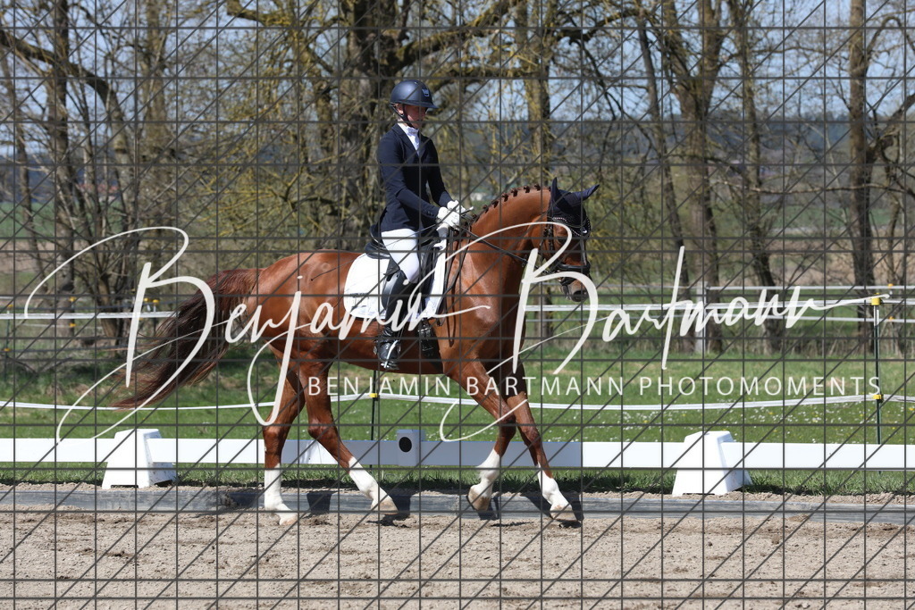 AZ2A5164 | Benjamin Bartmann Photomoments