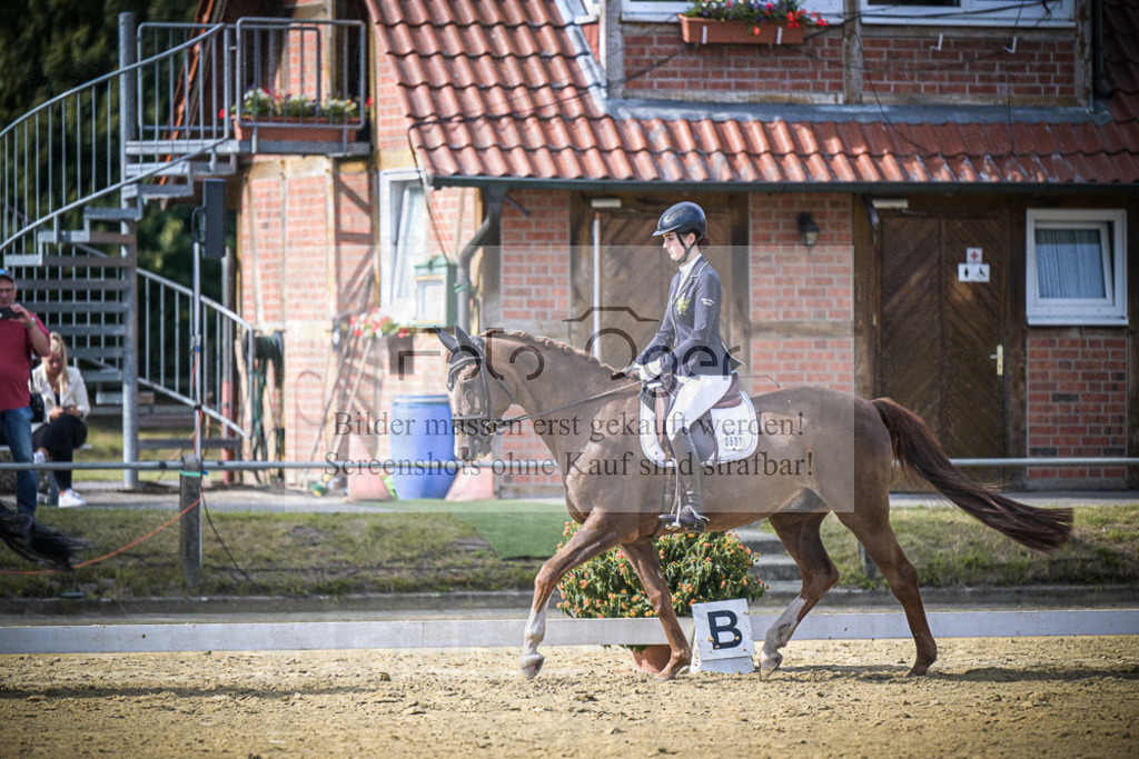 DOS_9553 | Entdecke hochwertige Reitturnierfotos von Foto Oger. Professionell, emotional und authentisch – jetzt Lieblingsmomente im Shop bestellen.Deutschlandweite Turnierfotografie. - Realisiert mit Pictrs.com