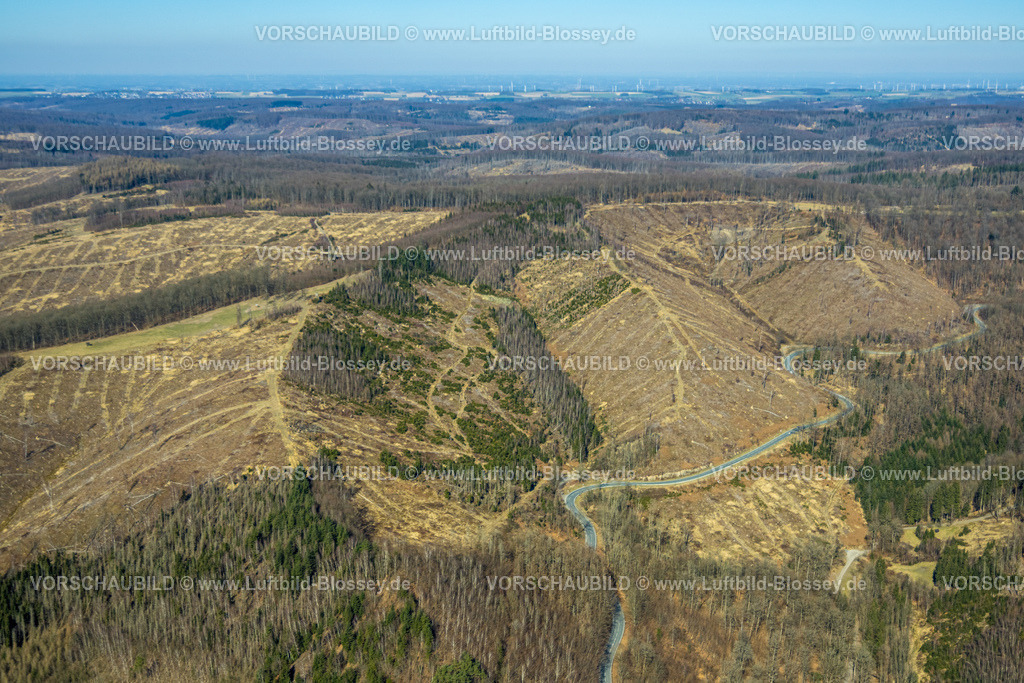 Arnsberg250305112Oeventrop | Luftbild, Waldgebiet mit Waldschäden, Glösingen, Arnsberg, Sauerland, Nordrhein-Westfalen, Deutschland