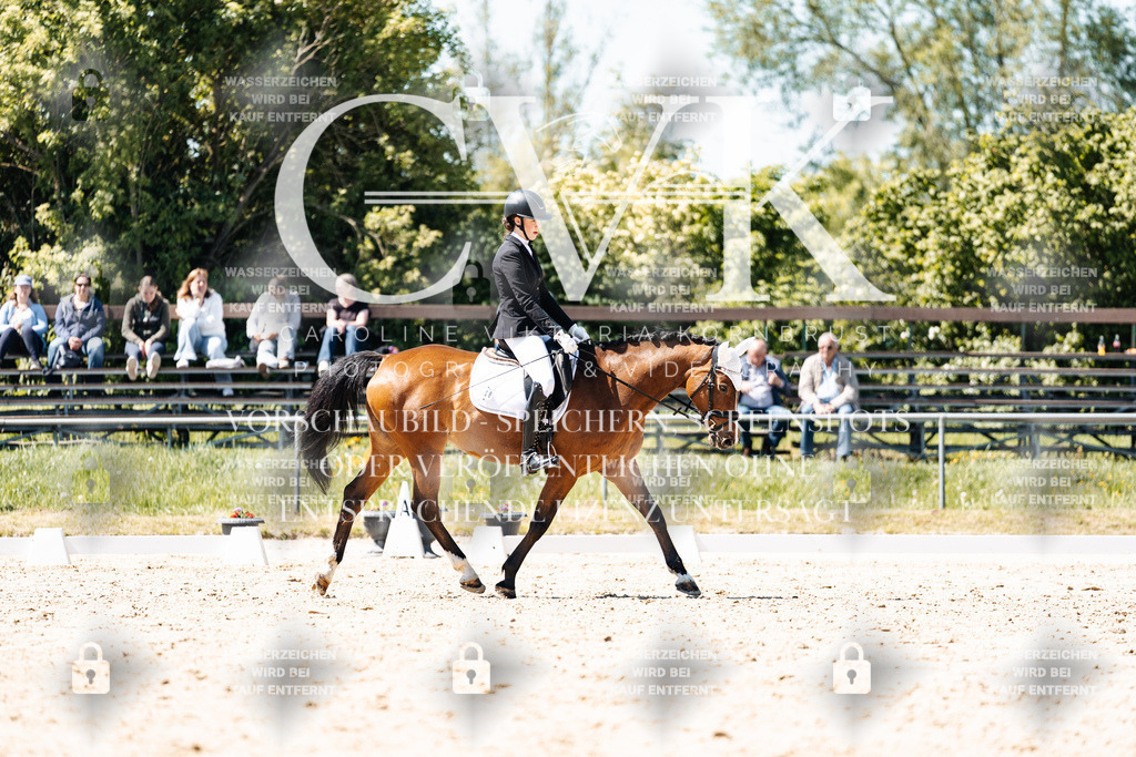 CK905933 | Turnierfotografie Pferdefotografie Trier Rheinland-Pfalz Pferdesport Reitsport Tierfotografie Sportfotografie Pferdevideo Pferdevideografie Equestrianvideography equestrianphotography  - Realisiert mit Pictrs.com