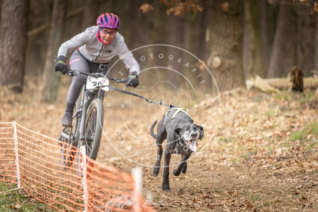 Pfotenfotografie_DV3A2552 | Hundefotografie, Tierfotograf, Pfotenfotografie, Fotoshooting Hund, Hunde Portrait, Hundesport, Hundeportraits, Heideshooting, Hunde, Sportfotograf, Hundefotograf, Turnierhundsport, THS,  - Realisiert mit Pictrs.com