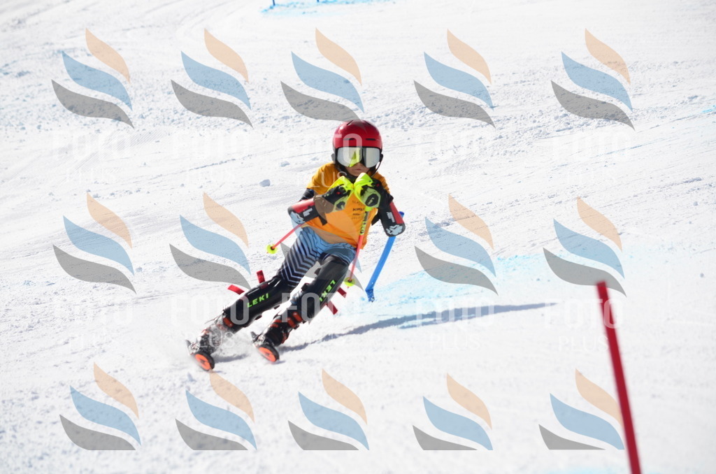 C8649 | holidayphoto