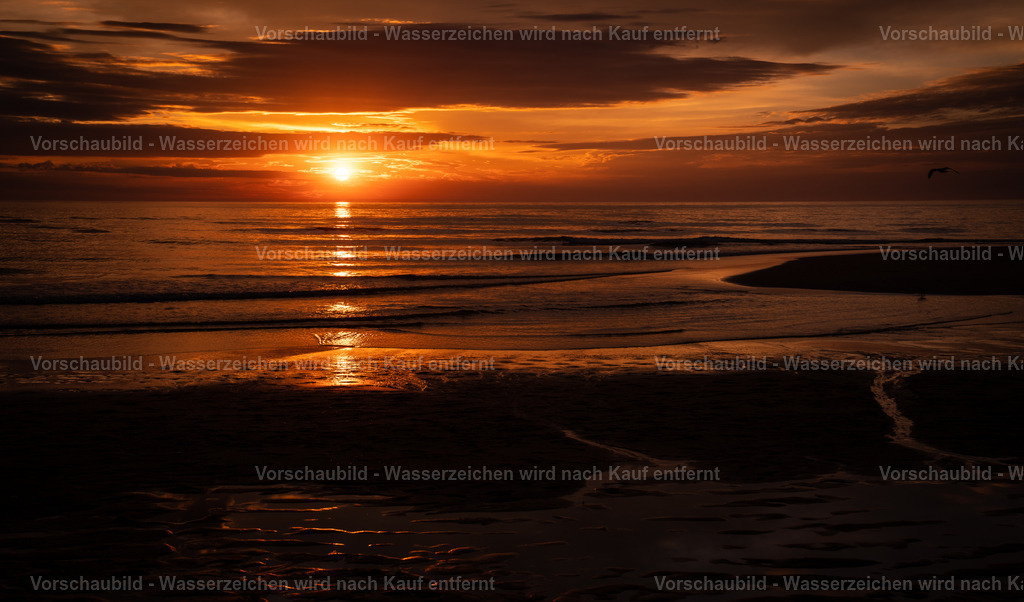DSC08122_sunset_seagull | marcuslinek