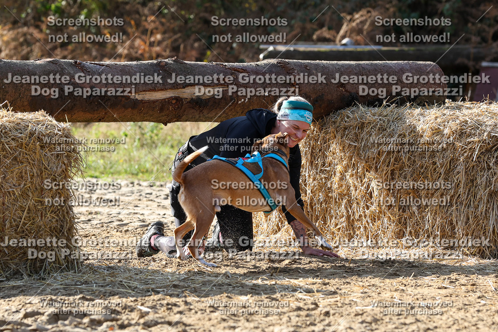 Dog Paparazzi - Strongdog 10-25-5968 | Dog Paparazzi Jeanette Grottendiek Fotografie & Videografie - Realisiert mit Pictrs.com