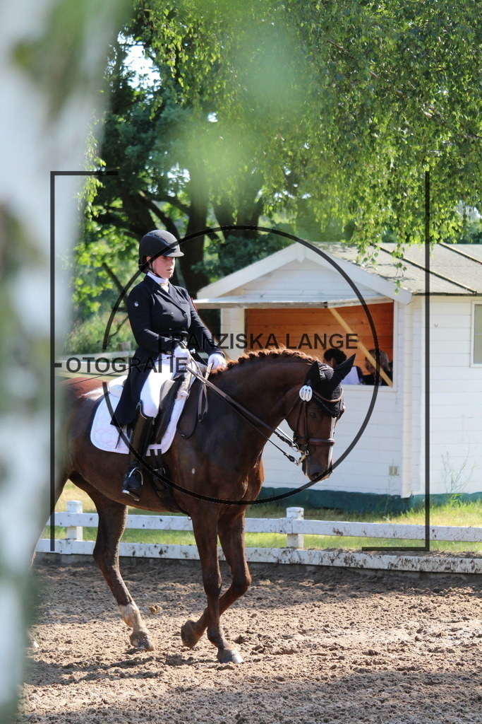 IMG_6653 | franziskalange - Realisiert mit Pictrs.com