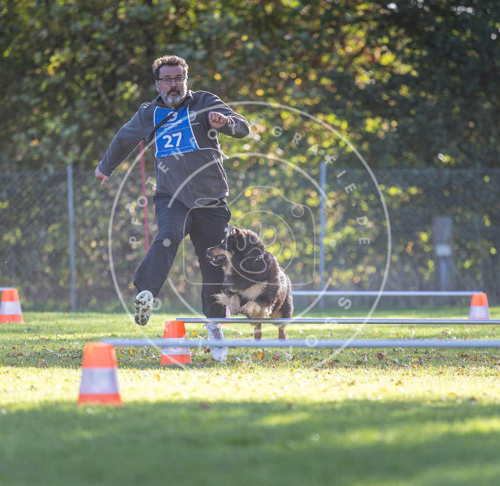 Pfotenfotografie.de_DV3A3101 | Hundefotografie, Tierfotograf, Pfotenfotografie, Fotoshooting Hund, Hunde Portrait, Hundesport, Hundeportraits, Heideshooting, Hunde, Sportfotograf, Hundefotograf, Turnierhundsport, THS, canicross - Realisiert mit Pictrs.com