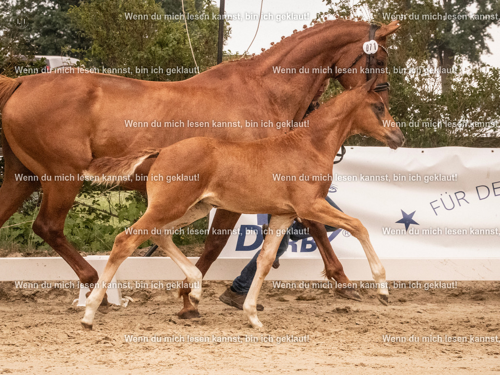 A10I1352 | photographylinaismer - Realisiert mit Pictrs.com