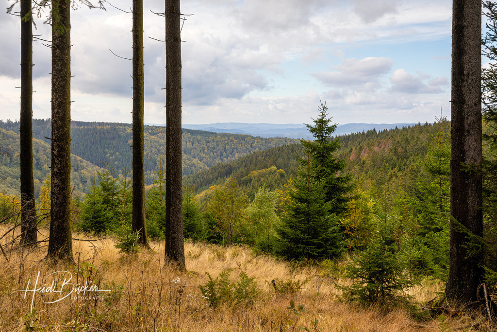 Aussicht vom Rothaarkamm bei Schmallenberg-Schanze | Aussicht vom Rothaarkamm bei Schmallenberg-Schanze - Realisiert mit Pictrs.com
