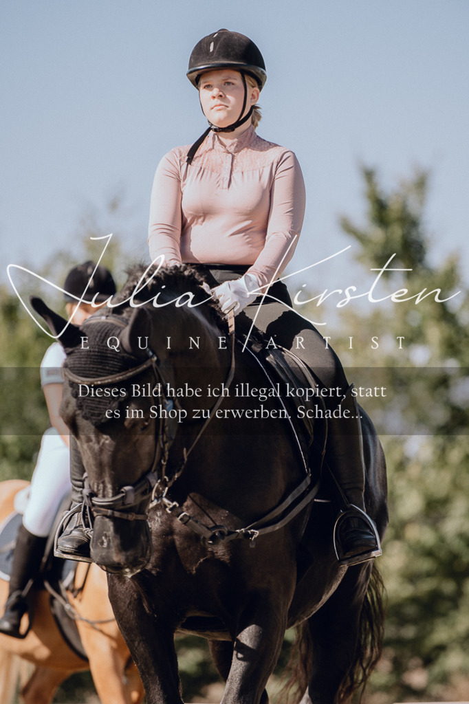 DSC_7078 | Pferde- und Turnierfotografie in Westsachsen. Pferdeportraits, Auftragszeichnungen und intuitive Kunst.