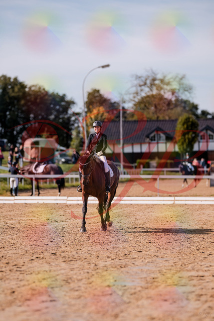 2026_10_03_Siefer-Hof_130106_Z81_52537394 | Professionelle Reitsport-, Turnier- und Eventfotografie von Robert Broda. Galerien mit ausgewählten und bearbeiteten Bildern direkt online ansehen und bestellen.