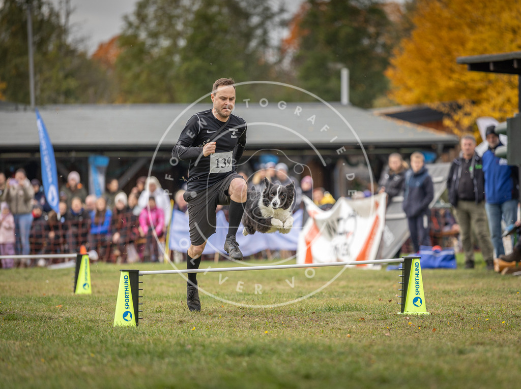 Pfotenfotografie_DV3A7934 | Hundefotografie, Tierfotograf, Pfotenfotografie, Fotoshooting Hund, Hunde Portrait, Hundesport, Hundeportraits, Heideshooting, Hunde, Sportfotograf, Hundefotograf, Turnierhundsport, THS,  - Realisiert mit Pictrs.com