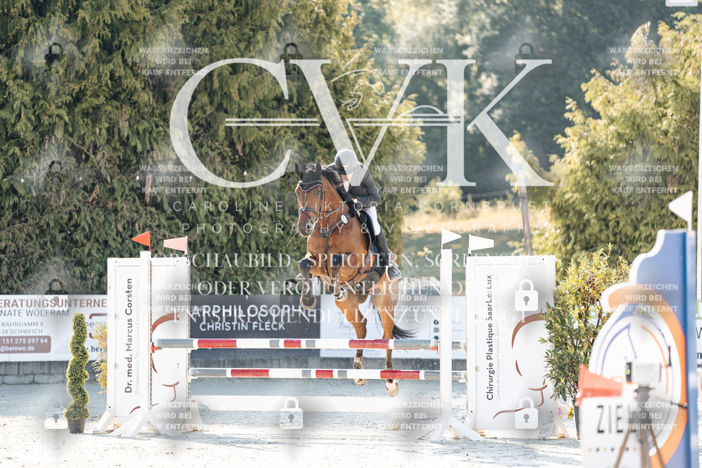 CK907441 | Turnierfotografie Pferdefotografie Trier Rheinland-Pfalz Pferdesport Reitsport Tierfotografie Sportfotografie Pferdevideo Pferdevideografie Equestrianvideography equestrianphotography  - Realisiert mit Pictrs.com