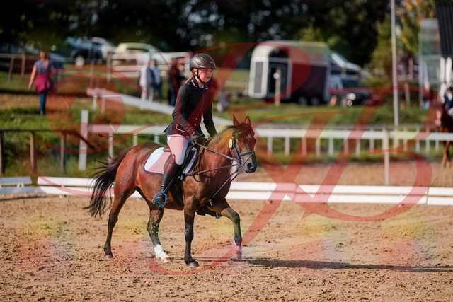 2026_10_03_Siefer-Hof_120805_Z63_37435999 | Professionelle Reitsport-, Turnier- und Eventfotografie von Robert Broda. Galerien mit ausgewählten und bearbeiteten Bildern direkt online ansehen und bestellen.