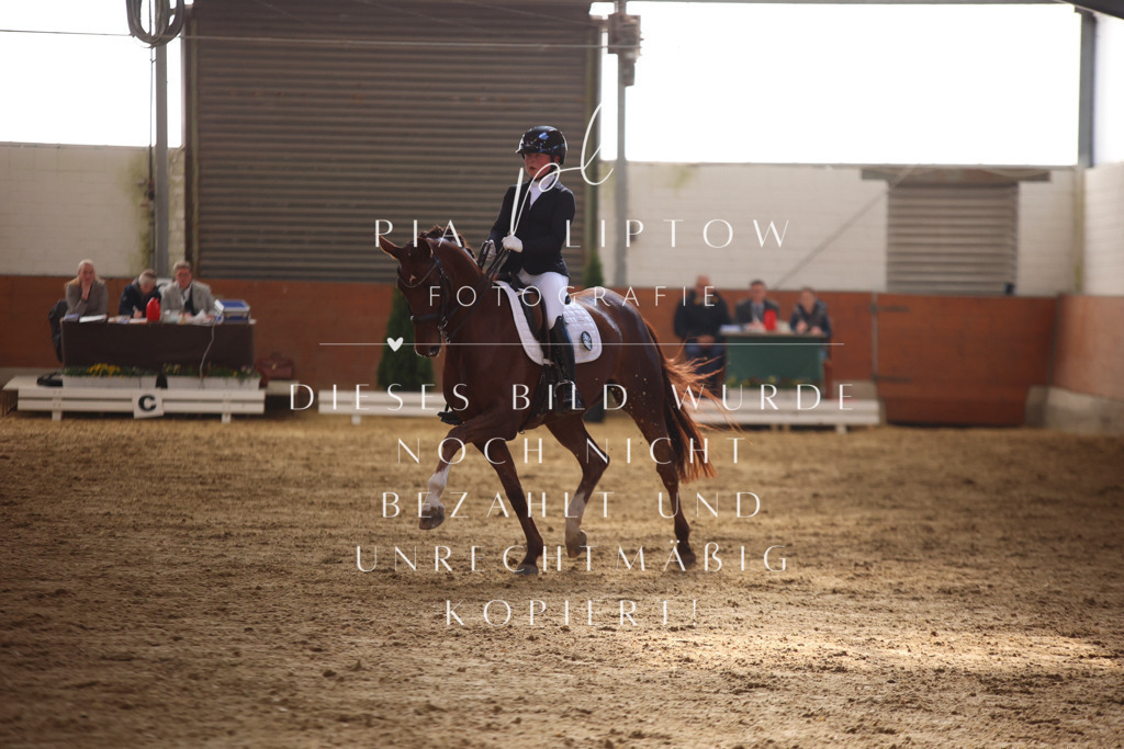 IMGT9923 | pl-fotografie