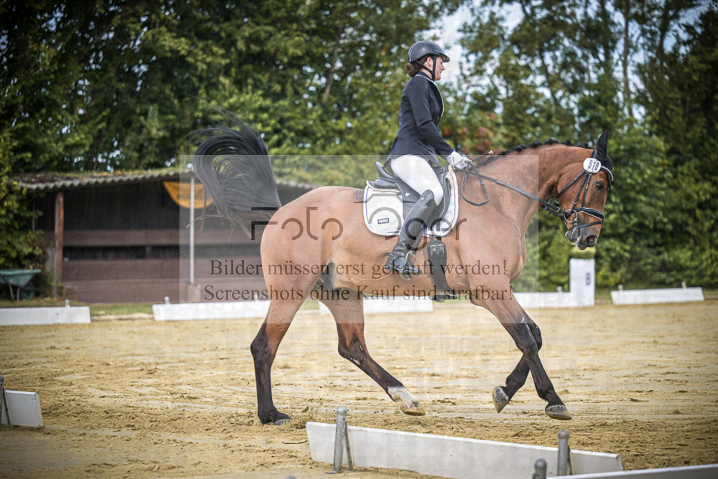 DOS_1112 | Entdecke hochwertige Reitturnierfotos von Foto Oger. Professionell, emotional und authentisch – jetzt Lieblingsmomente im Shop bestellen.Deutschlandweite Turnierfotografie. - Realisiert mit Pictrs.com