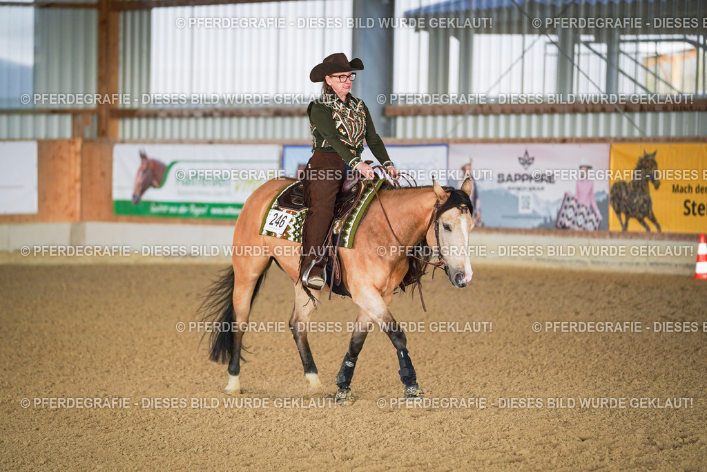 DSC08357 | Pferdegrafie