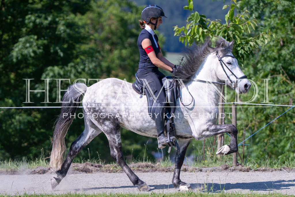KAI06541 | Ihr sucht einen Fotografen für eure nächste OSI? Ich begleite auch euer Turnier für Islandpferde fotografisch.  - Realisiert mit Pictrs.com