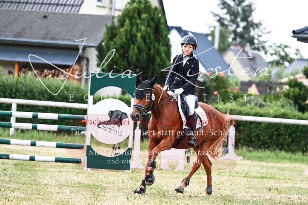 DSC_9062 | Pferde- und Turnierfotografie in Westsachsen. Pferdeportraits, Auftragszeichnungen und intuitive Kunst.