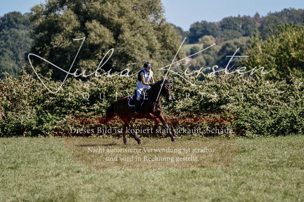 DSC_1758 | Pferde- und Turnierfotografie in Westsachsen. Pferdeportraits, Auftragszeichnungen und intuitive Kunst.