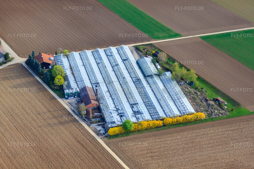 Luftbild: Gärtnerei Appich in Kleines Feldle in Möglingen im Bundesland Baden-Württemberg in Deutschland. Foto: IMG_39346.jpg vom 03.04.2011 durch Werner Riehm/FLY-FOTO.deGärtnerei Appich Blumen Möglingen | Blumenladen Stuttgart | Blumengeschäft | Blumen Ludwigsburg | Bietigheim | Vaihingen | Markgröningen