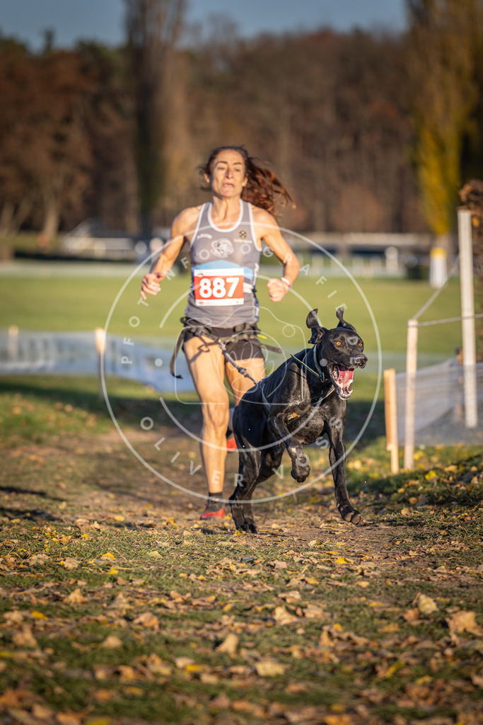 CaniXpix_DV3A4453 | Hundefotografie, Tierfotograf, Pfotenfotografie, Fotoshooting Hund, Hunde Portrait, Hundesport, Hundeportraits, Heideshooting, Hunde, Sportfotograf, Hundefotograf, Turnierhundsport, THS,  - Realisiert mit Pictrs.com