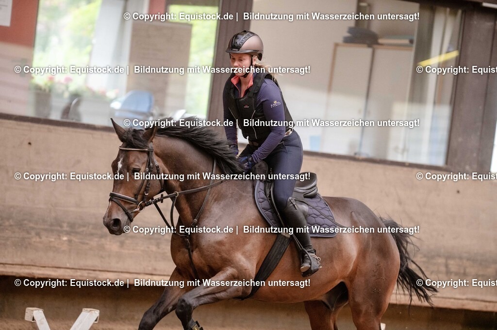 20250725_Vielseitigkeitslehrgang-Marbach_0624 | Foto: Thomas Hartig