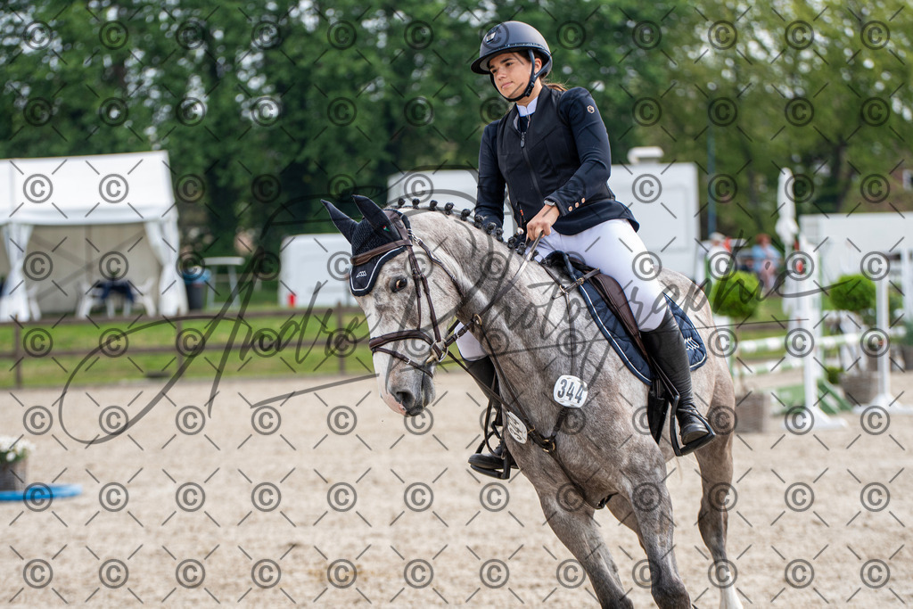 KPT_2117 | andre_photographic