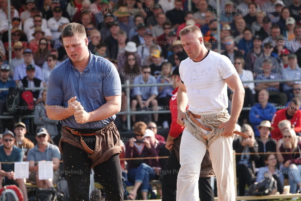 DSC04454 | Schwingen - Realisiert mit Pictrs.com