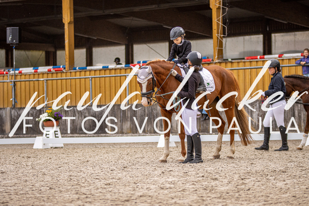 IMG_4066 | Erleben Sie dynamische Sport- und emotionale Tierfotografie in Süddeutschland mit Fotos von Paula. Spezialisiert auf Pferde- und Hundefotografie sowie Sportevents. Kontaktieren Sie mich für einzigartige und ausdrucksstarke Bilder Ihrer besonderen Momente. - Realisiert mit Pictrs.com