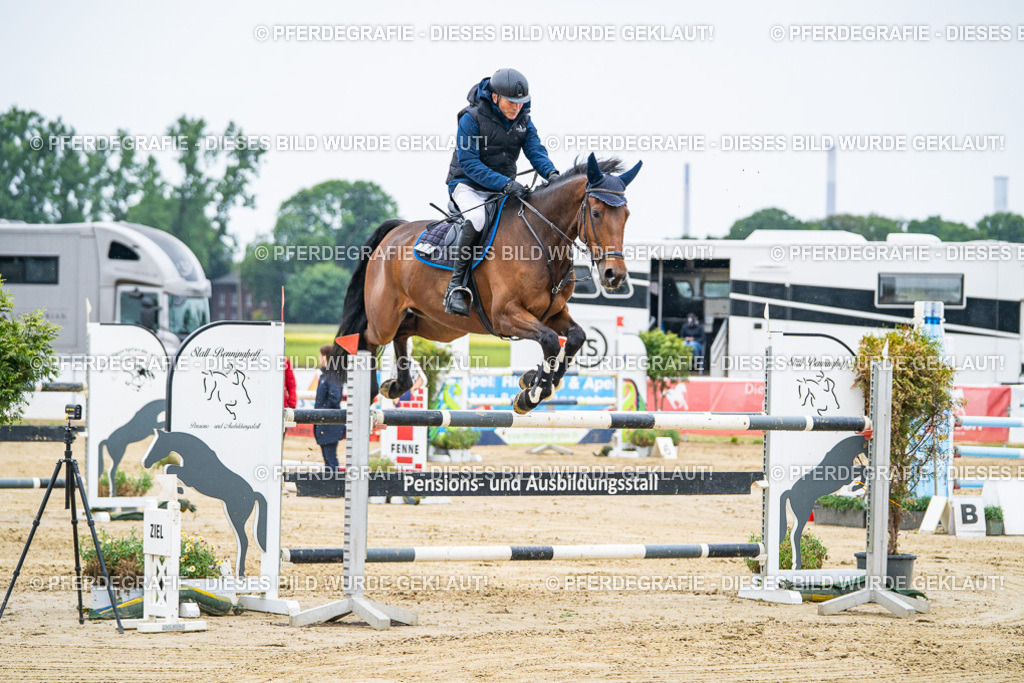 DSC09088 | Pferdegrafie