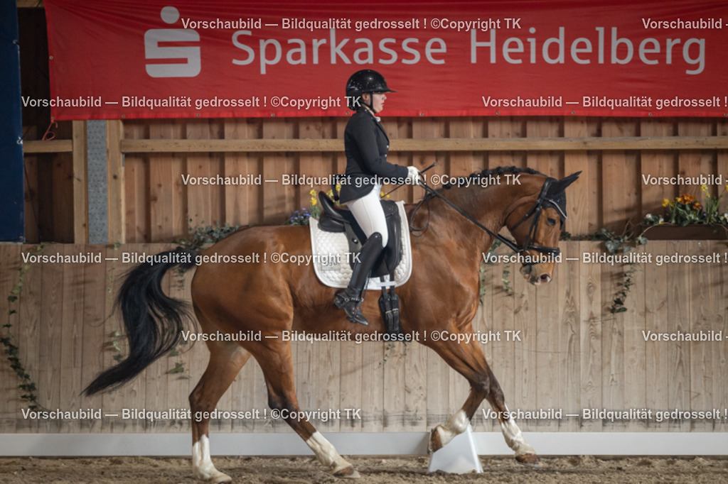 _D5A4407 | Emotionale Pferde- & People-Fotografie rund um Heidelberg, Leimen & Umgebung. Natürliche Fotos von Pferd, Mensch & Familie. Jetzt Termin sichern!