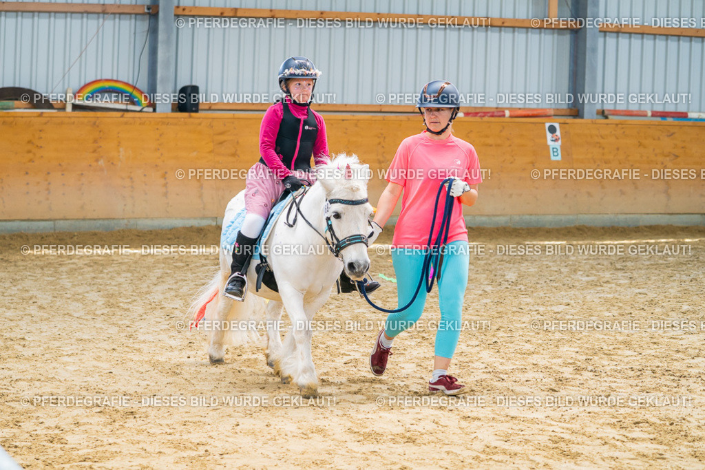 DSC00739 | Pferdegrafie