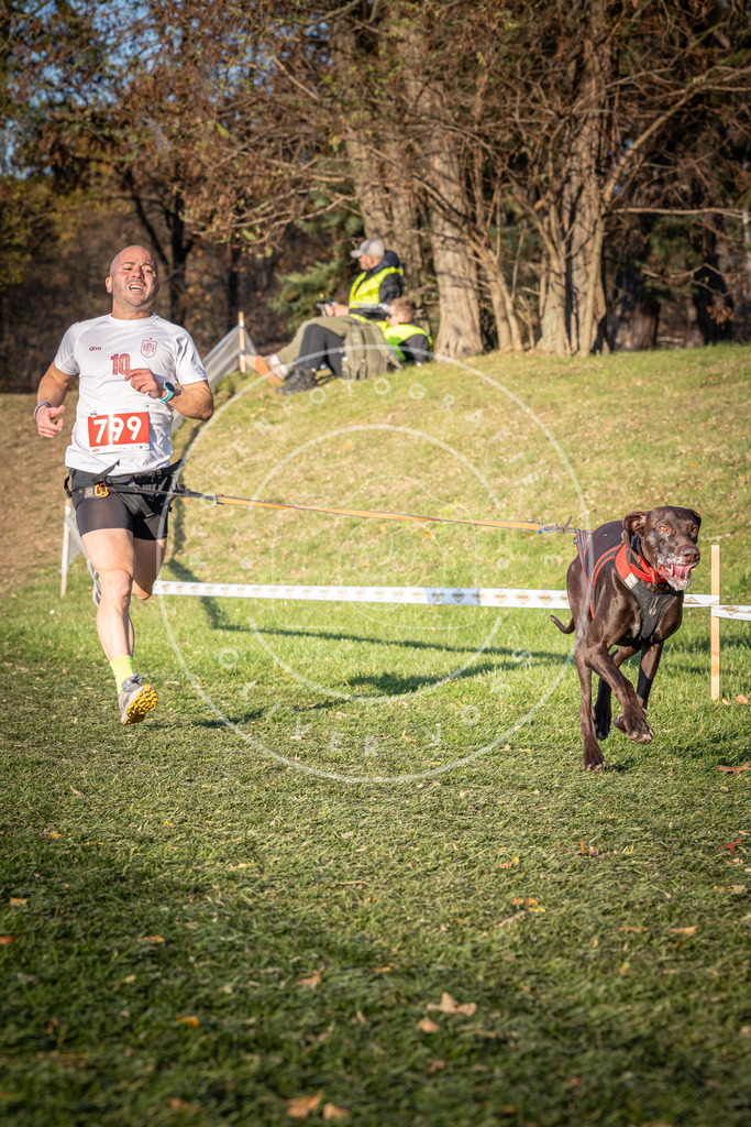 CaniXpix_0L8A0327 | Hundefotografie, Tierfotograf, Pfotenfotografie, Fotoshooting Hund, Hunde Portrait, Hundesport, Hundeportraits, Heideshooting, Hunde, Sportfotograf, Hundefotograf, Turnierhundsport, THS,  - Realisiert mit Pictrs.com