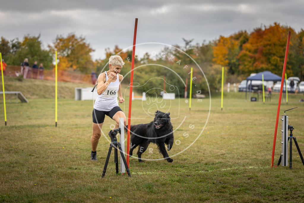 Pfotenfotografie_DV3A6573 | Hundefotografie, Tierfotograf, Pfotenfotografie, Fotoshooting Hund, Hunde Portrait, Hundesport, Hundeportraits, Heideshooting, Hunde, Sportfotograf, Hundefotograf, Turnierhundsport, THS,  - Realisiert mit Pictrs.com