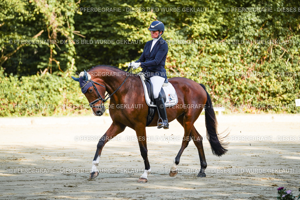 DSC07452 | Pferdegrafie