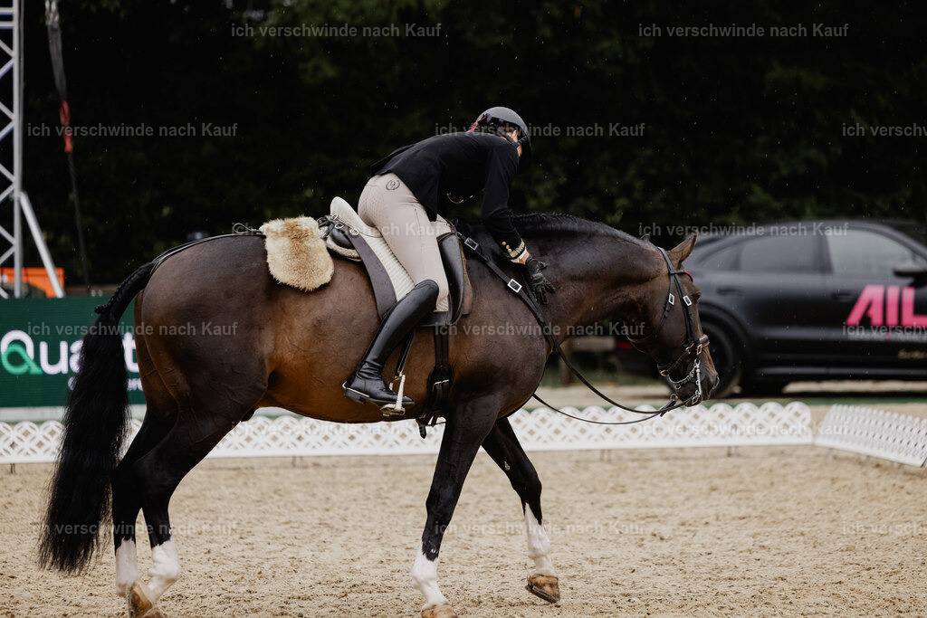 Virginie12FHC2025-24592 | working equitationturnier fotograf videograf stoibphotography marixx film working equitation deutschland reitsport turnierfotografie eventfotografie equestrian events