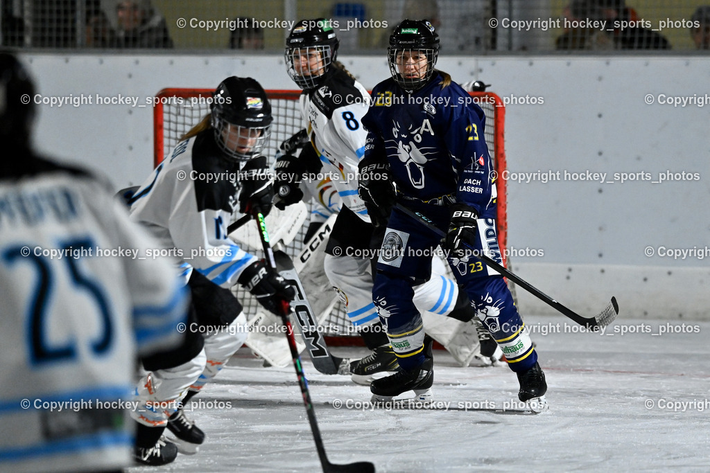 Wildcats Paternion vs. Unicorns Steindorf | #23 Stuppnig Iris WILDCATS PATERNION, #8 Sint Claudia UNICORNS STEINDORF, Wildcats Paternion vs. Unicorns Steindorf, Wildcats Paternion vs. Unicorns Steindorf am 02.01.2026 in Paternion (Eislaufplatz Paternion), Austria, (Photo by Bernd Stefan)