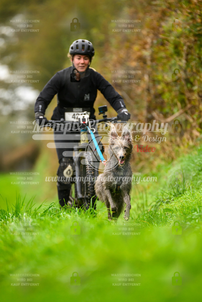 MompixPhotography_20TSB_E8_Bike-155 | PayLife